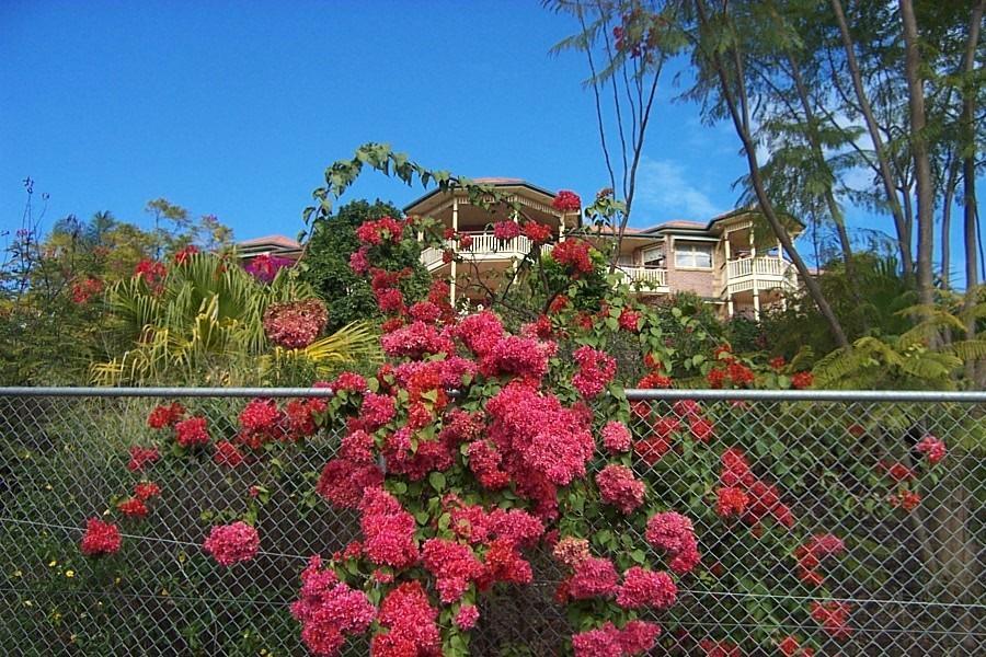Tranquil Garden Hideaway Apartman Ormeau Kültér fotó